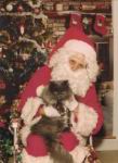 cat_santa_01.jpg